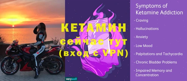 индика Богородицк
