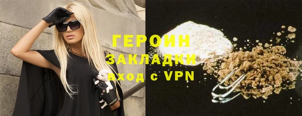 индика Богородицк