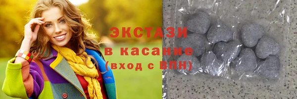 индика Богородицк