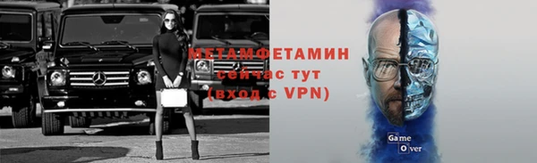 индика Богородицк