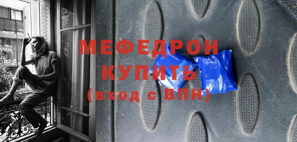 индика Богородицк