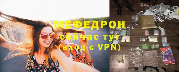 индика Богородицк