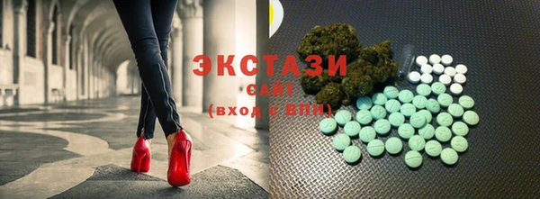 индика Богородицк