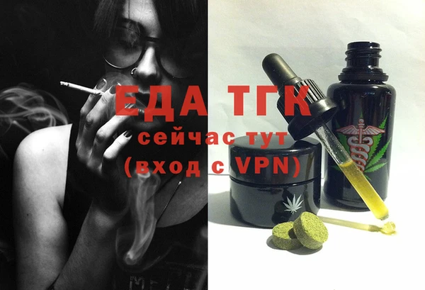 индика Богородицк