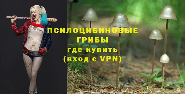 ешки Богородск