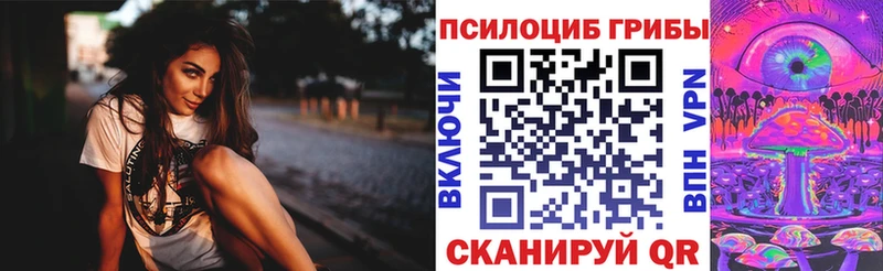 ОМГ ОМГ ТОР  Вуктыл  Галлюциногенные грибы Psilocybine cubensis  хочу наркоту 